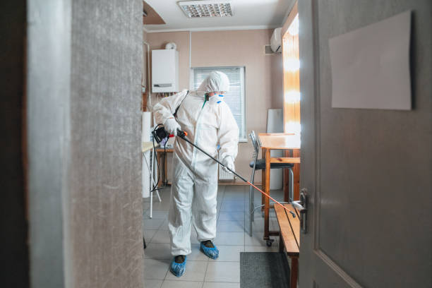 Best Mold Documentation for Insurance Claims  in South Bloomfield, OH