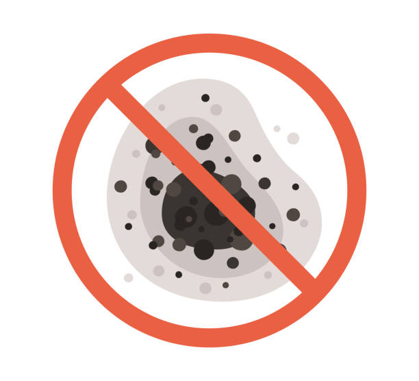 Best Indoor Air Quality Assessment  in South Bloomfield, OH